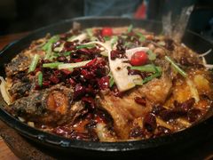 -老板恋上鱼(振华商厦店)