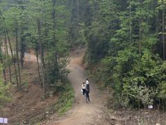 -青龙山国家森林公园