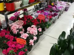 -无锡文化工艺品市场(槐古路店)