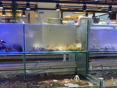 -四海蒸鲜蒸汽海鲜自助(北戴河店)