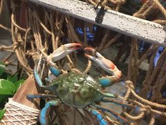 -马路边上·小海鲜烧烤(八一路店)
