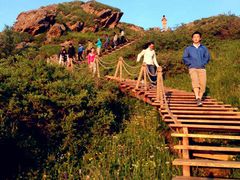 -苏木山森林公园