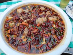 -重庆火锅水库鱼庄(南油店)