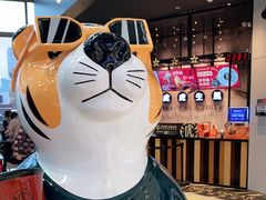 -老虎堂TIGER SUGAR