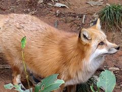 -云南野生动物园
