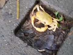 -鹅銮鼻公园