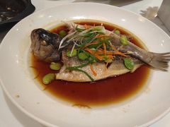 清蒸豆瓣鲈鱼-赛百味(仙林金鹰店)