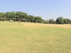 -昆山城市生态森林公园