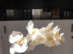 -中山北路(地铁站)