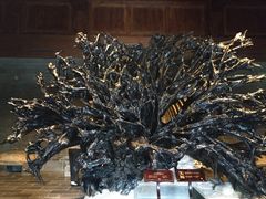 -乐山乌木文化博览苑