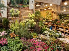 -双季花艺园艺市场(浦东店)