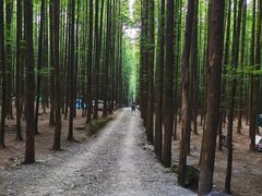 -山王坪喀斯特国家生态公园