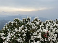 -华山风景名胜区