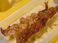 羊肉串-老红桥炸灌肠牛肚锅烧烤(定福庄店)