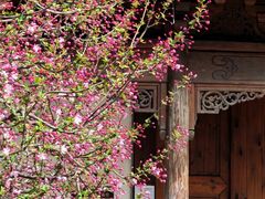 -江宁织造博物馆