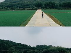 -风云岭森林公园