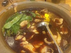 -都江堰石锅鱼