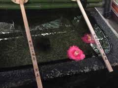 -京都御所
