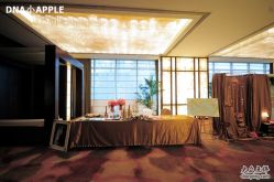 -DNA Wedding 婚礼记(上海店)