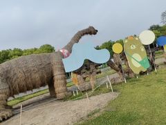 -嘉北郊野公园