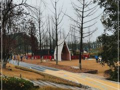 -铁山坪森林公园