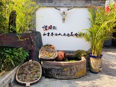 -慢丽江·云南野生菌土鸡锅(付家庄店)