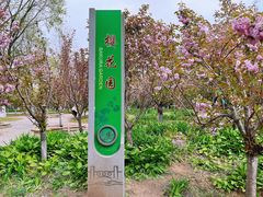 -长白岛森林公园