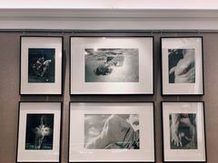 -PAUL LAFAYET 法式甜品(港汇广场店)