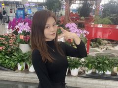 -温州龙湾国际机场