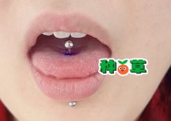 -AI艾耳·专业手工耳洞·穿孔美学馆