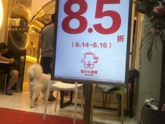 -茶力的小怪兽(梅林卓悦汇店)