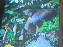 -李掌柜鲜菜火锅(移民广场店)