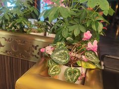-玉林烤鸭店(垡头店)