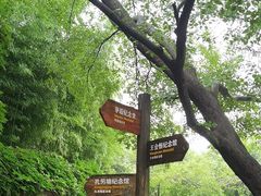 -乌镇景区