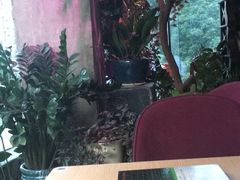 -范设计花园餐酒咖·中西餐·咖啡厅·酒馆