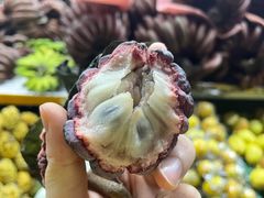 -兴隆华侨农场