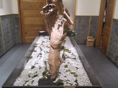 -7017浙菜•建德味(中财店)