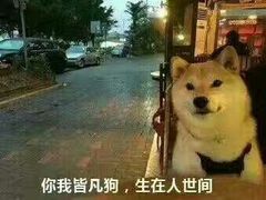 -胡桃里音乐酒馆(白云五号T5 MALL店)