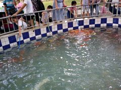 -广东茂名森林公园