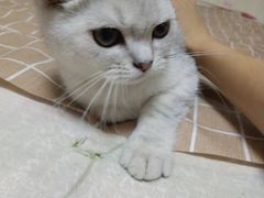 -陶然居·重庆菜(南滨路店)