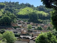 -杨家堂村