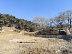 -沈阳森林动物园