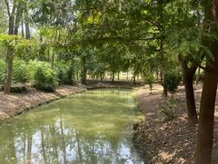 -合肥滨湖国家森林公园