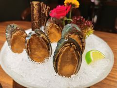 手工冰镇鲍鱼-木棉·醉心粤味(COCO Park店)