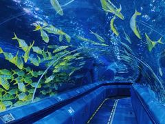 -太平洋海底世界