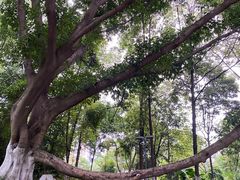 -成都市活水公园