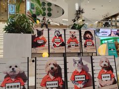 -星辉电影公园(时代广场CC MALL店)