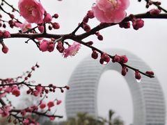 -太湖月亮湾