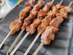 普通羊肉串-撒拉花儿·新疆菜·清真(太阳宫店)