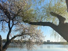 -长春市南湖公园